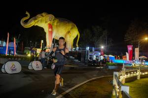 BIB: 
                            <button type="button" onclick="openModal(26552409)" class="btn btn-primary btn-sm float-right btn-popup" data-toggle="modal" data-target=".modal-high-quality">
                        <i class="fas fa-shopping-cart"></i> Add to Cart
                    </button>
                                            <button type="button" onclick="isThisMe(26552409, true)" class="btn btn-success btn-sm float-right btn-popup btn-isme hidden" data-toggle="tooltip" data-placement="bottom" title="นี่คือรูปของคุณใช่ไหม คลิกที่นี่เพื่อเอาเข้าอัลบั้ม">
                        <i class="fas fa-plus"></i> Add to album
                    </button>
                    <button type="button" onclick="isThisMe(26552409, false)" class="btn btn-warning btn-sm float-right btn-popup btn-isnotme hidden">
                        <i class="fas fa-ban"></i> Remove from album
                    </button>